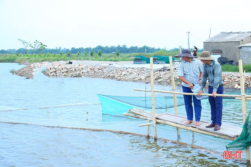 Chi phí đầu tư mô hình gần 500 triệu đồng/ha, dự kiến cho thu lãi hơn 250 triệu đồng/ha. IMG_1030.jpg