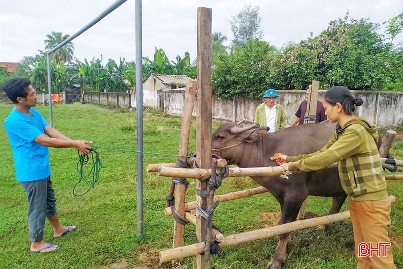Tiêm phòng là giải pháp quan trọng hàng đầu để bảo vệ đàn vật nuôi thời điểm giao mùa. z5931394017565-78f5bf7a97c0ef34e5674e9594684693-5084.jpg