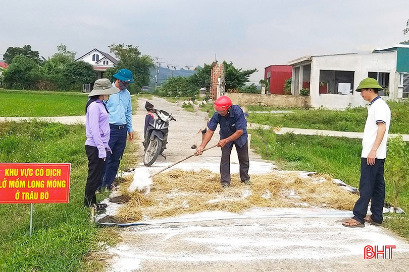 UBND huyện Kỳ Anh đã công bố dịch LMLM trên trâu, bò tại địa bàn các xã Kỳ Bắc, Kỳ Giang, Kỳ Đồng và Kỳ Khang. z5935043435590-a0c5e63fb08bf957353841dfe9610c38-9967.jpg