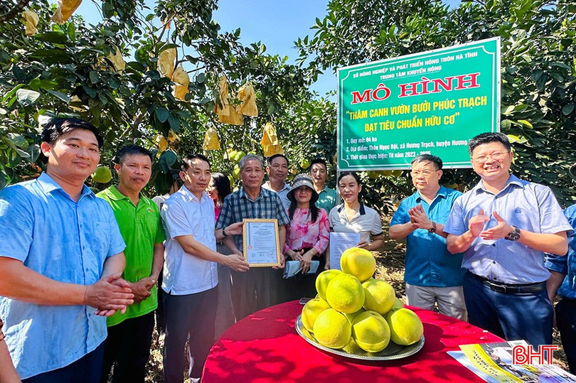 Mô hình "Thâm canh vườn bưởi Phúc Trạch đạt tiêu chuẩn hữu cơ" tại xã Hương Trạch, huyện Hương Khê. z5859384172800_b82f4a05b6c781a8ad7f3a32bc7ac268.jpg