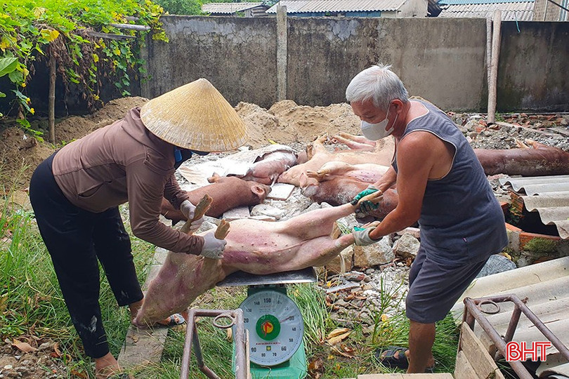 Trên địa bàn tỉnh, hiện có 23/69 xã, phường có DTLCP chưa qua 21 ngày. bqbht_br_z6822726920064-eec75713306e1c3e78e639a3cefdb8a3.jpg