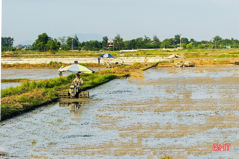 Nông dân Hà Tĩnh gặp nhiều khó khăn trong gieo cấy vụ hè thu do vụ xuân thu hoạch muộn hơn cùng kỳ các năm trước. bqbht_br_z6712647415060-3b0ad69c7e5f91d512dee9983995089b.jpg