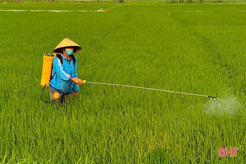 Nông dân huyện Can Lộc phun phòng trừ sâu bệnh hại lúa xuân. bqbht_br_z6480173195588-453c7d8aaabe4d11dc967245ca96c338.jpg