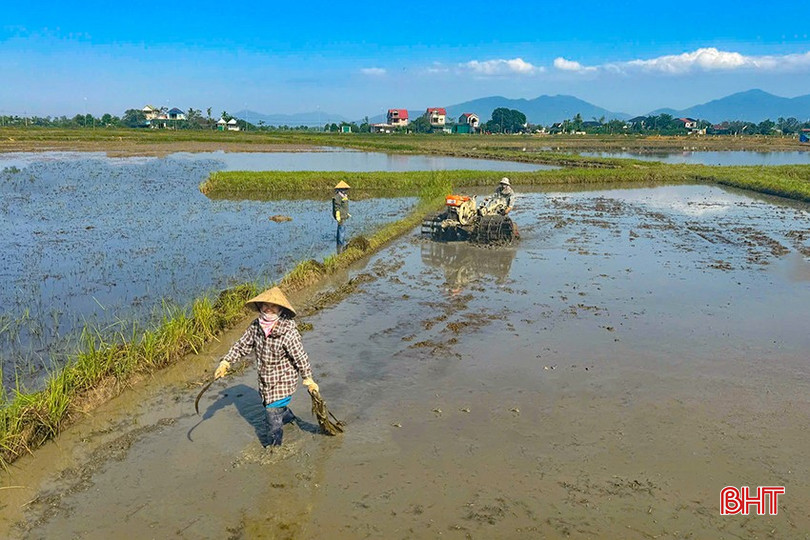 Bà con nông dân huyện Can Lộc cày ải đợt 1. bqbht_br_z6096002146933-99e82e8b17ba7d63dcdb18f7c126ee6b.jpg