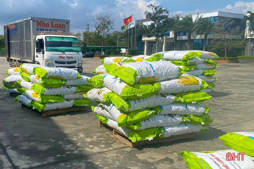 Giống lúa vụ xuân 2025 được các công ty giống chuẩn bị sẵn sàng. bqbht_br_z6096172665721-f281d57a4564f2c870cccb539c978357.jpg