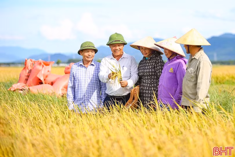 aimg-0393-688 (1).jpg