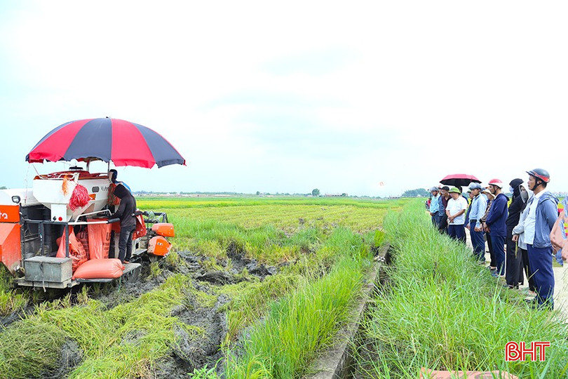 Các đại biểu tham quan mô hình tại thôn Tiền Tiến, xã Đồng Môn (TP Hà Tĩnh). IMG_1303.jpg