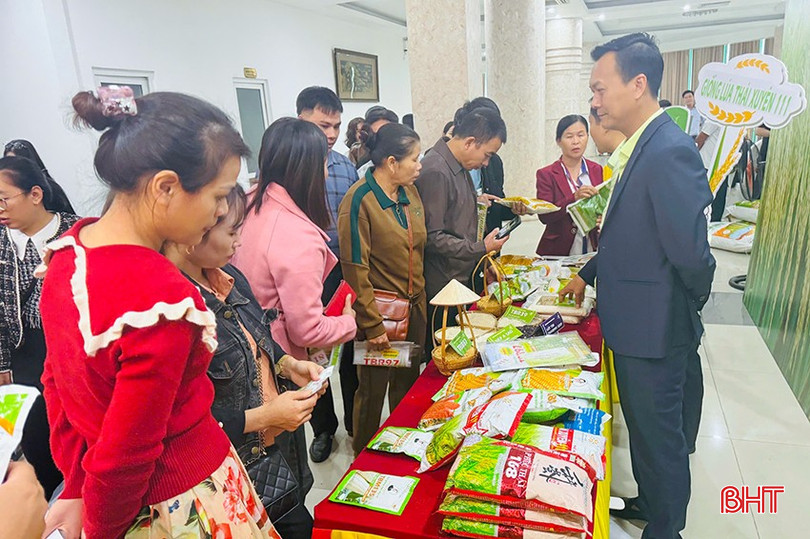 Công ty cổ phần Tập đoàn ThaiBinh Seed đã tổ chức hội nghị khách hàng, triển khai kế hoạch cung ứng giống lúa năm 2025 trên địa bàn tỉnh. bqbht_br_z6083056125039-6339b162094d3b3c28915730b09d580f.jpg