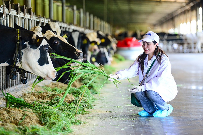 사진: Quang Dinh farm-tour-vbcsd-10a.jpg