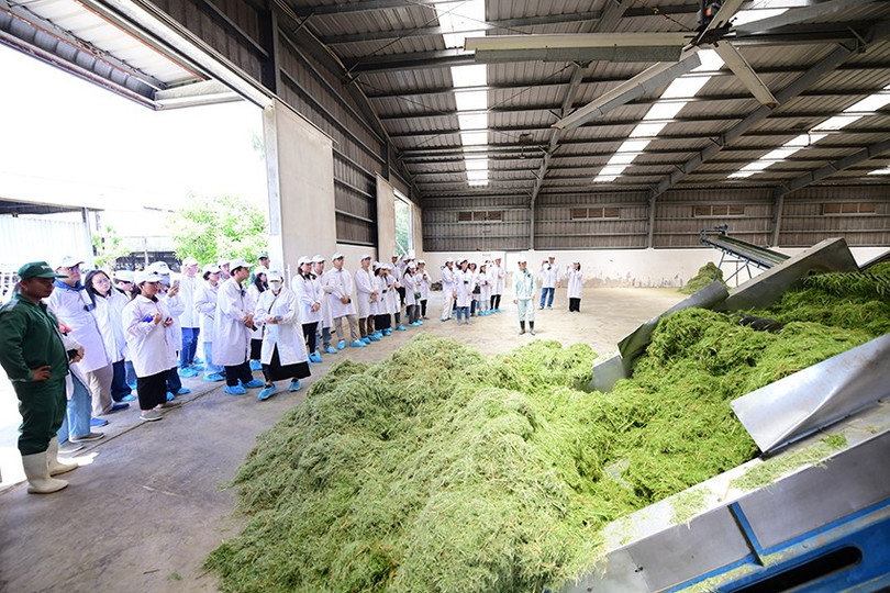 사진: Quang Dinh farm-tour-vbcsd-06.jpg