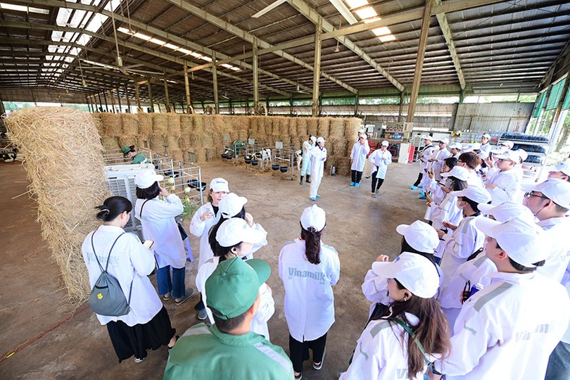 사진: Quang Dinh farm-tour-vbcsd-08.jpg