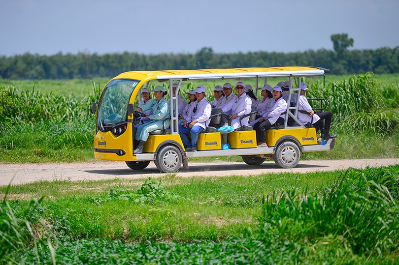 사진: Quang Dinh farm-tour-vbcsd-02.jpg