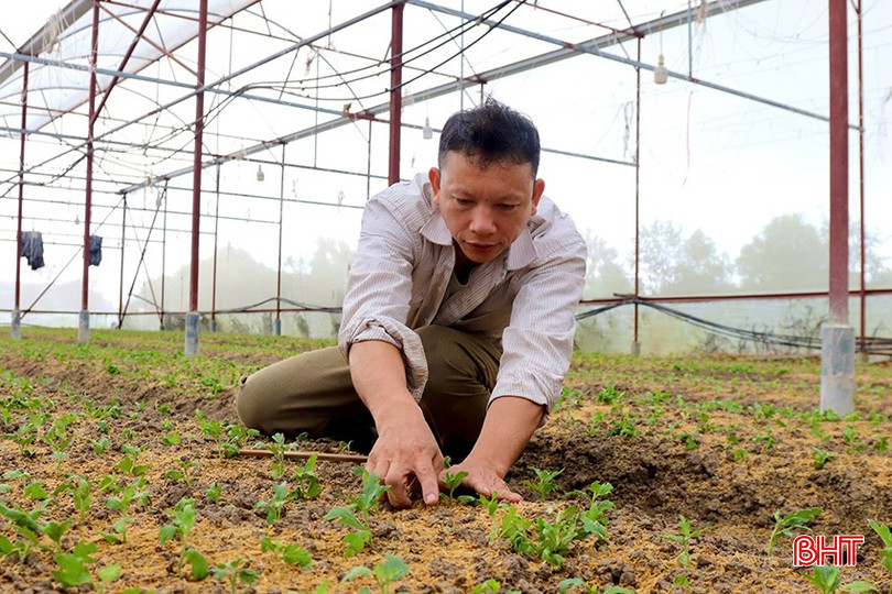 Sản xuất các loại cây trồng có giá trị cao trong nhà màng là giải pháp được nhiều nông dân áp dụng để thích ứng với thời tiết bất lợi của vụ đông. z5916073249559-b3c7fb8209b5c32f339520e8be2c3a47-4755-444.jpg