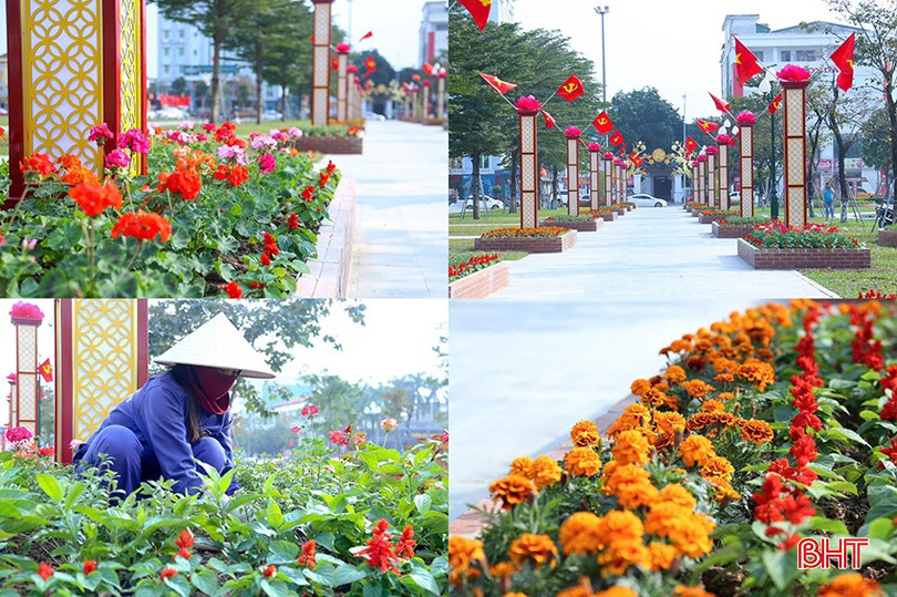 Khu vực Quảng trường Thành Sen được trang trí lộng lẫy với nhiều thảm hoa rực rỡ đón chào mùa xuân mới. bqbht_br_z6212633682472-84875d12133a60e37d141ccf9807d856.jpg