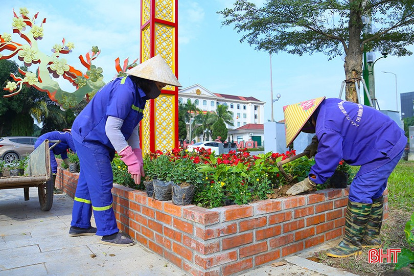 Công nhân tập trung thay thế các thảm hoa tại Quảng trường Thành Sen. bqbht_br_img-0319.jpg