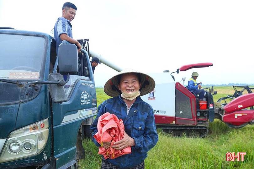 Niềm vui ngày mùa đến sớm của nông dân Hà Tĩnh. IMG_9841.jpg