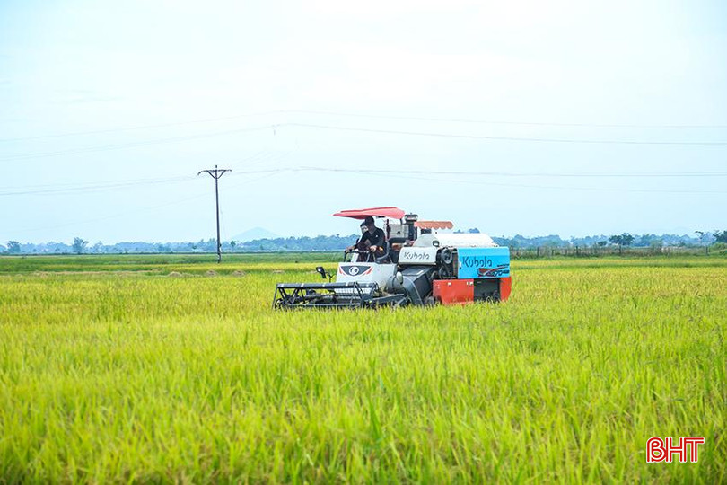 Nhờ tập trung, tích tụ ruộng đất nên bà con nông dân thuận lợi trong đẩy nhanh tiến độ vụ hè thu. IMG_9860.jpg