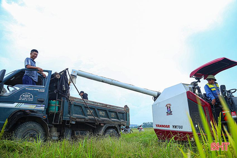 Máy móc được huy động tối đa để giúp bà con đẩy nhanh tiến độ lúa hè thu "chạy lụt". IMG_9827.jpg