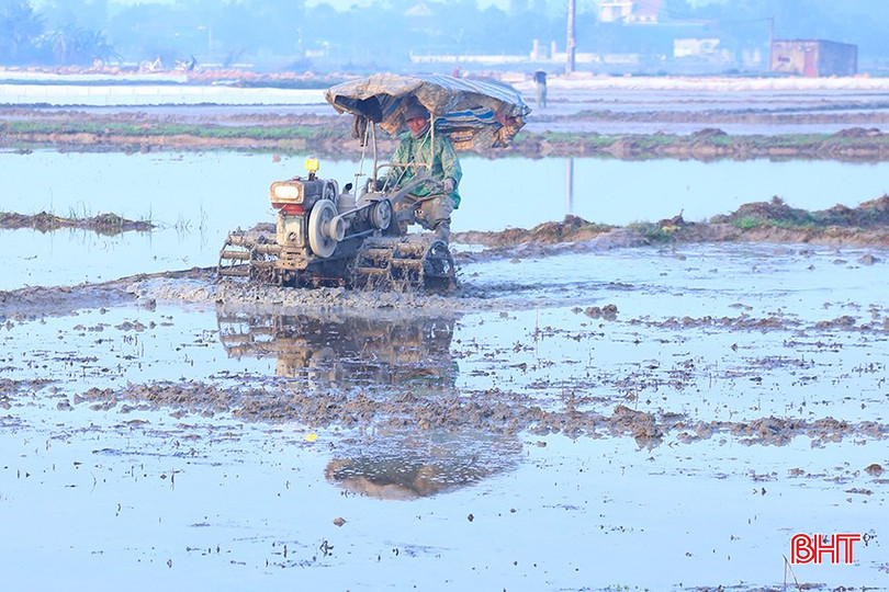Các địa phương cơ bản hoàn thành khâu làm đất, chuẩn bị bước vào đợt gieo cấy tập trung. bqbht_br_img-9364.jpg