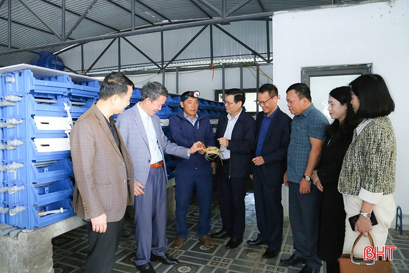 Đoàn công tác HĐND tỉnh Bắc Giang tham quan mô hình nuôi cua trong hộp nhựa tại HTX Dịch vụ Nông nghiệp Hà Hoàng tại phường Thạch Hạ. bqbht_br_img-8451.jpg