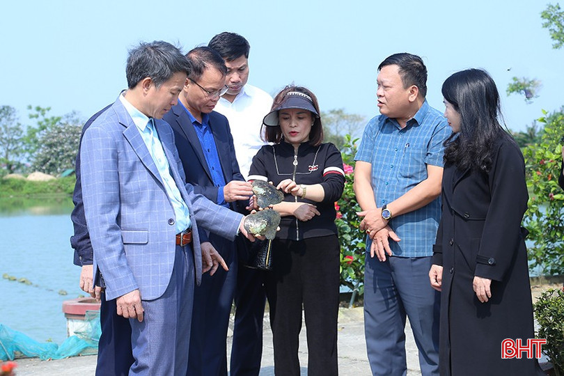 Đoàn công tác HĐND tỉnh Bắc Giang được giới thiệu về quy trình nuôi trai lấy ngọc. bqbht_br_img-8504.jpg