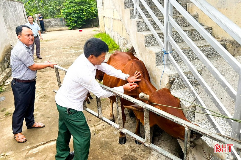 Tranh thủ thời tiết thuận lợi, các địa phương trên địa bàn tỉnh cần tập trung đẩy nhanh tiến độ tiêm phòng. 1-9580.jpg