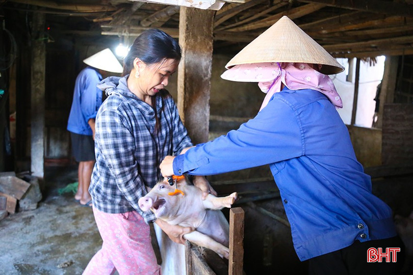 TP Hà Tĩnh phấn đấu hoàn thành chỉ tiêu tiêm phòng trước 20/10. IMG_9778.jpg