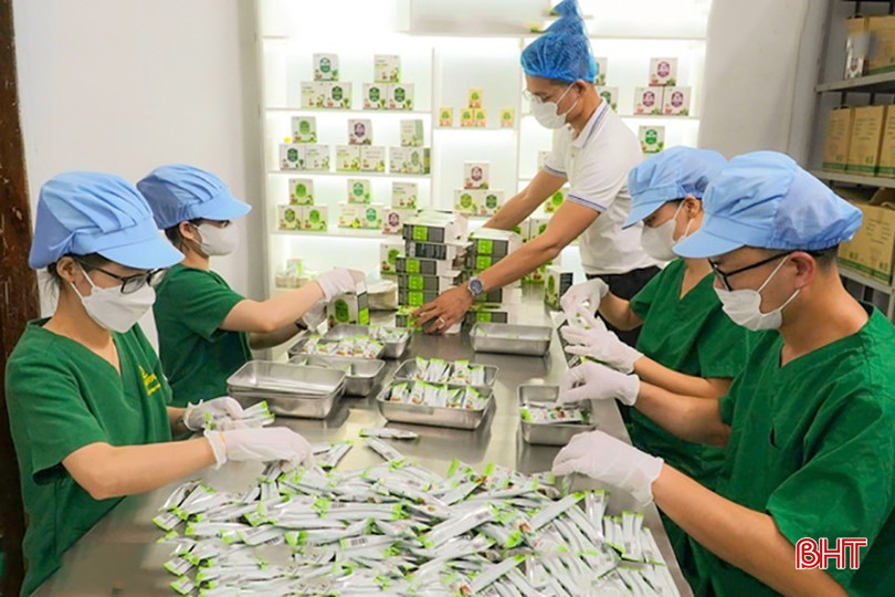 Một số HTX ở TP Hà Tĩnh thực hiện liên kết với HTX Nông nghiệp sạch Hatisa sản xuất các loại cây trồng như cần tây, diếp cá, bó xôi... để làm nguyên liệu phục vụ chế biến các sản phẩm bột rau, củ chất lượng cao. che-bien-rau-sach-thanh-san-pham-tien-loi-224930-308-172450-7828.jpg