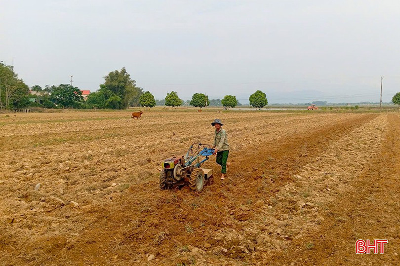 HTX Nông nghiệp Đức La (xã Bùi La Nhân, Đức Thọ) làm đất sản xuất vụ đông. z5919378452105-12f3a6f842b091ab4a83e1aa0625f9ea-6977.jpg