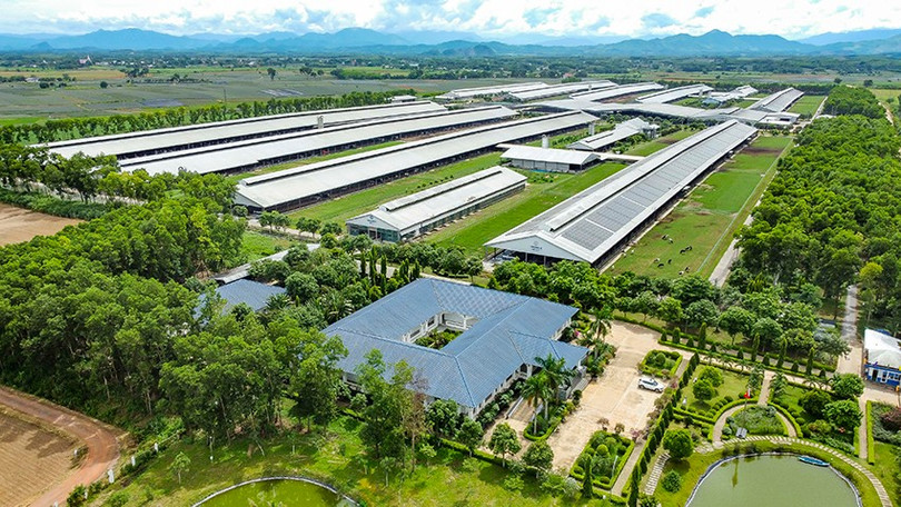 Hệ thống 15 trang trại đạt chuẩn Organic châu Âu và Global S.L.P là nền tảng giúp Vinamilk chủ động nguồn nguyên liệu chất lượng cao (Ảnh: Minh Anh). anh-2a.jpg