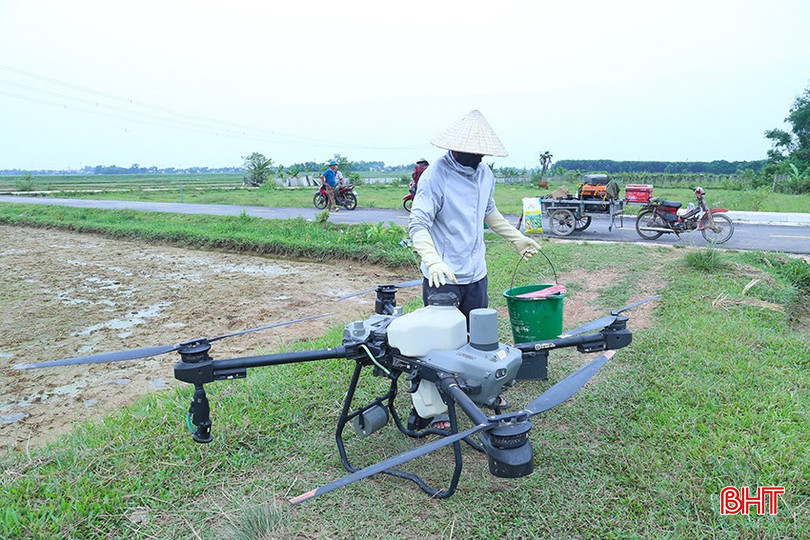ចំពោះសេវាបាញ់ថ្នាំសម្លាប់សត្វល្អិត ដំណាំនីមួយៗ លោក Nguyen Dinh Truong អនុវត្តលើផ្ទៃដីជាង 500 ហិកតានៅស្រុក Thach Ha ស្រុក Can Loc និង Cam Xuyen។ bqbht_br_img-4446.jpg