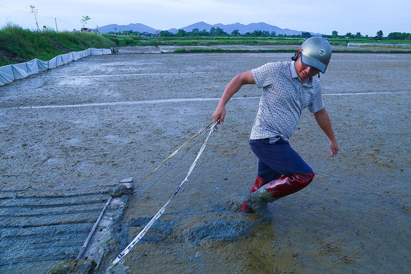 Mưa lớn do ảnh hưởng của bão số 1 khiến nhiều ha lúa ở xã Xuân Lộc bị ngập nước, thối rễ. img-4582.jpg
