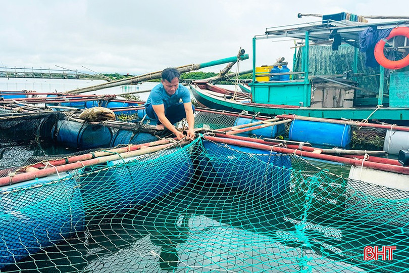 Người nuôi cá lồng bè tại huyện Thạch Hà, huyện Kỳ Anh... gia cố, giằng néo lồng bè trước thông tin mưa, bão. z5839323369108_2a0fc204ae15f6ed21542a83c02138bd.jpg