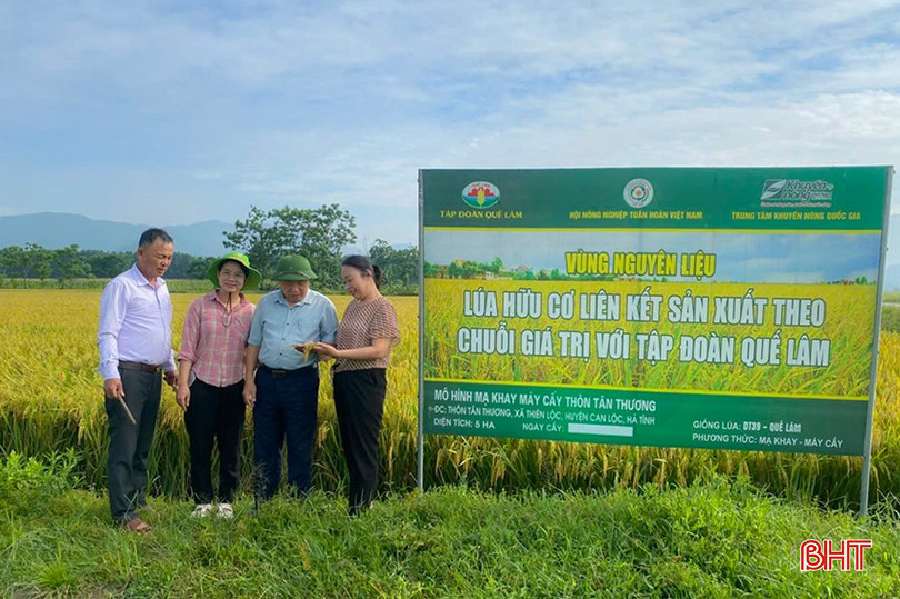 Mô hình sản xuất lúa hữu cơ liên kết giữa người dân và Công ty CP Tập đoàn Quế Lâm tại huyện Can Lộc. bqbht_br_z6630101901158-0761b9718f3ae5f18e57aac7bb4cf5cb.jpg
