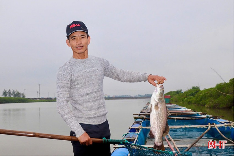 Người nuôi cá lồng bè tại thôn Vĩnh Phúc (Nam Phúc Thăng, Cẩm Xuyên) chú trọng chăm sóc cá vược để chuẩn bị xuất bán số lượng lớn vào cuối năm. bqbht_br_z6160459483591-edc8062c3ef7032e2a27ac6f66698228.jpg