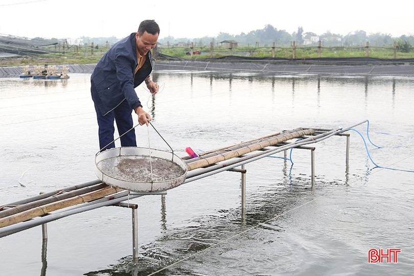 Người nuôi tôm cần theo dõi sức khỏe của tôm nuôi thường xuyên. bqbht_br_img-7590.jpg