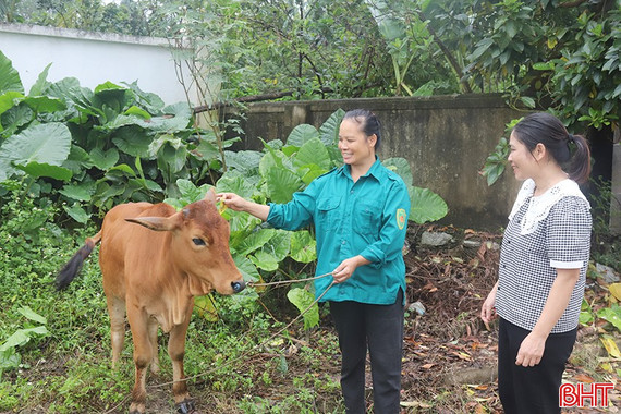 Đa dạng sinh kế giúp người dân Tứ Mỹ thêm cơ hội thoát nghèo