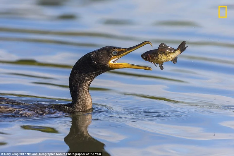nhung buc anh thien nhien an tuong tren tap chi hang dau cua my