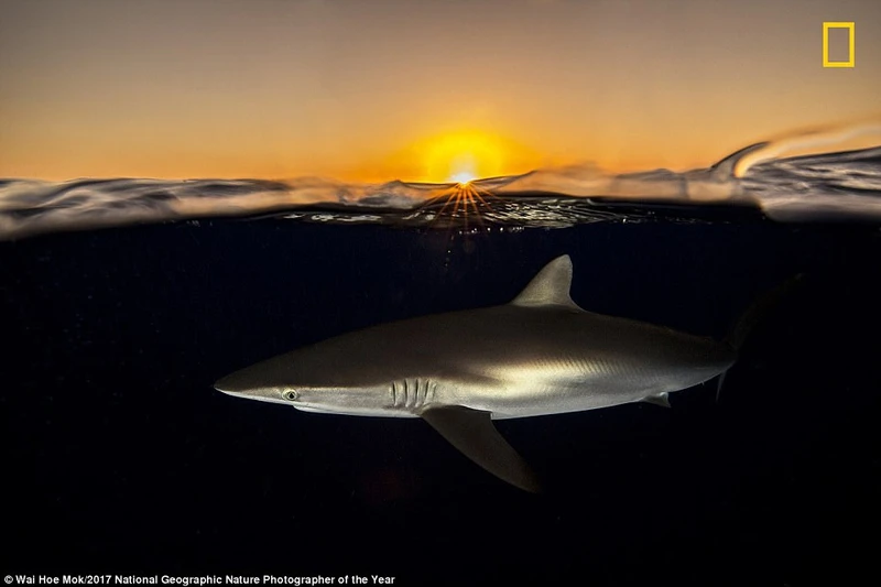 nhung buc anh thien nhien an tuong tren tap chi hang dau cua my