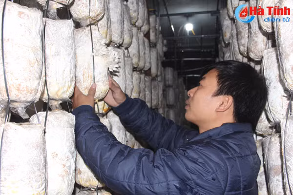 trao co hoi cho thanh nien ha tinh khoi nghiep