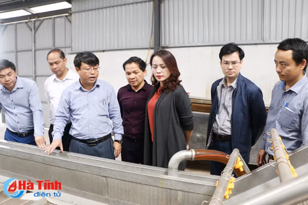 tao thuan loi de tap doan flc san xuat rau cu qua vung ven bien ha tinh