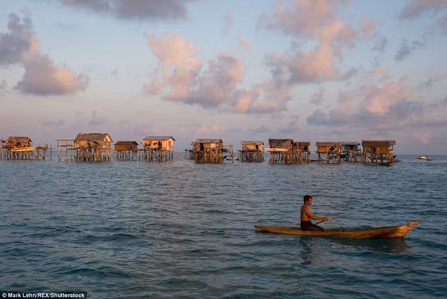 bo toc nguoi ca va cuoc song lenh denh khong quoc tich