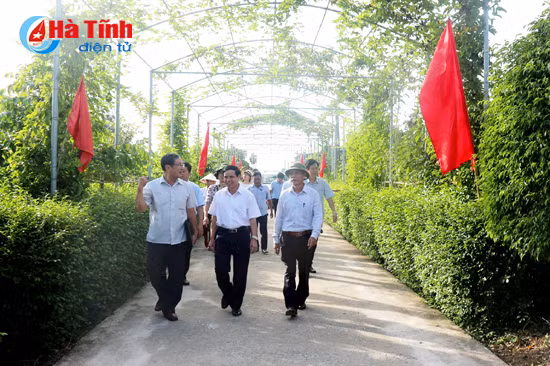 ha tinh phe duyet tien do xa dat chuan ntm giai doan 2017 2020