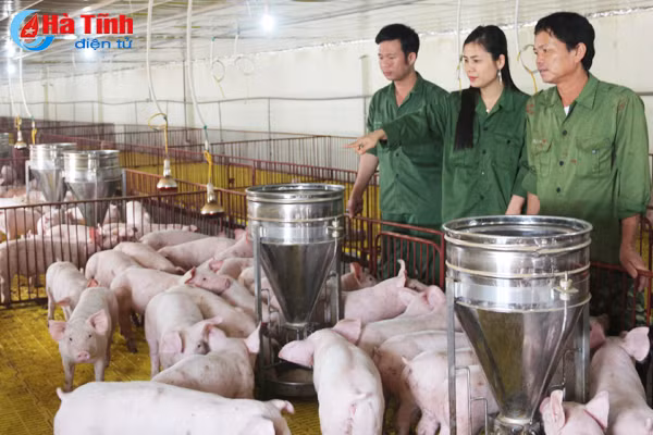 nhung bong hong dam viec nha gioi kinh doanh