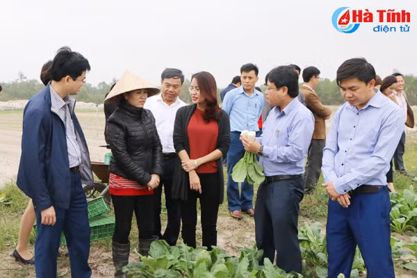 tao thuan loi de tap doan flc san xuat rau cu qua vung ven bien ha tinh
