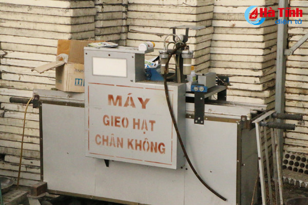 dung san xuat rau cu qua tren cat lo tai hoang mac hoa