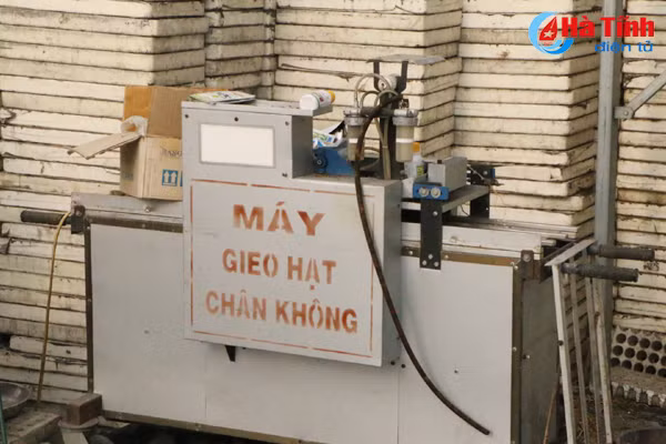 dung san xuat rau cu qua tren cat lo tai hoang mac hoa