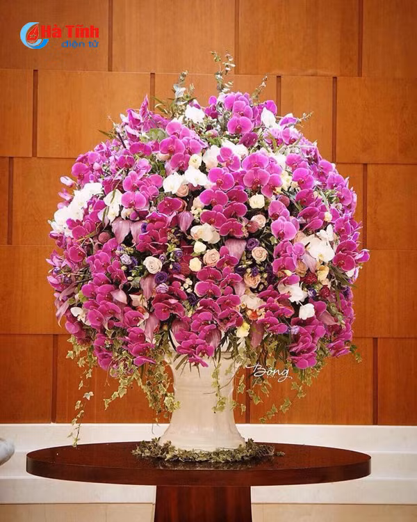 me dam khong gian ruc sac mau apec cua co chu nguoi ha tinh