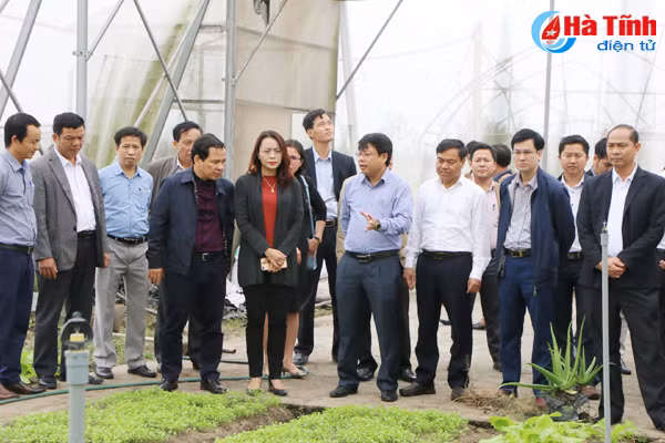 tao thuan loi de tap doan flc san xuat rau cu qua vung ven bien ha tinh