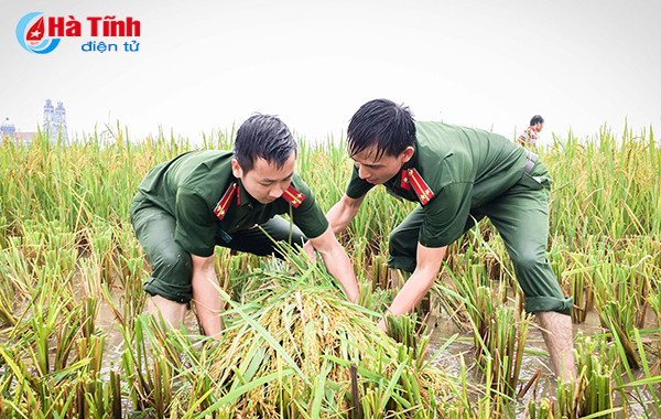 ngam 5 tac pham xuat sac dau tien cuoc thi anh ha tinh trong toi